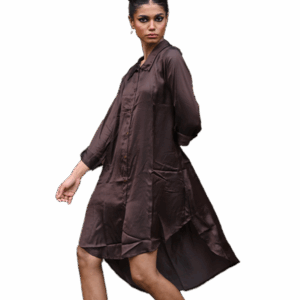 Women Chocolate brown shirt dress