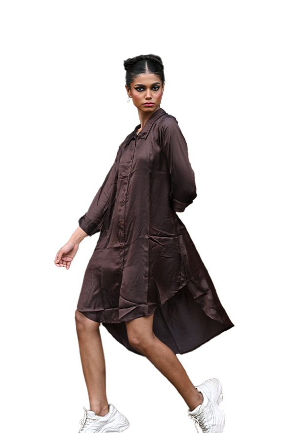 Women Chocolate brown shirt dress